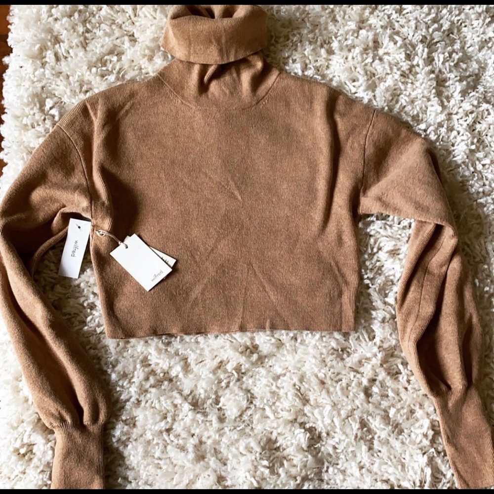 Aritzia crop sweater